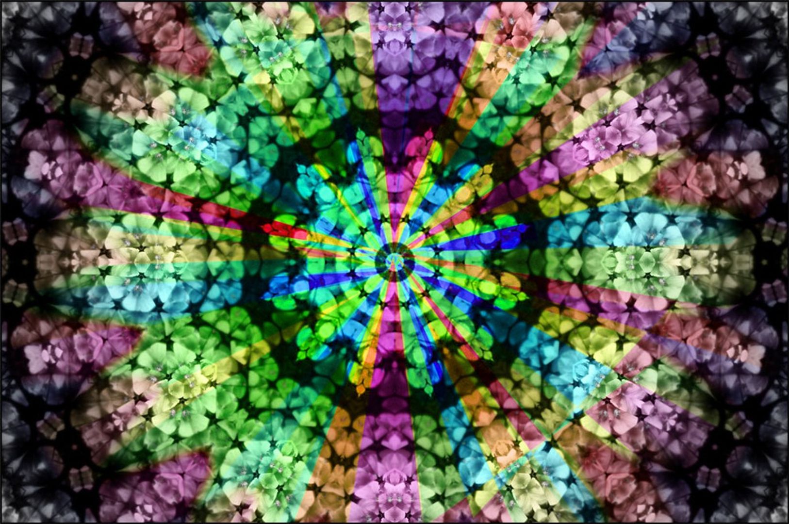 "Experimentoval jsem s psychoaktivními látkami"